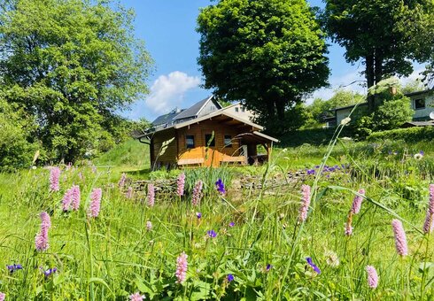 Ferienwohnungen "Alte Wildmeisterei"