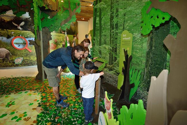 Wildkatzendorf Hütscheroda