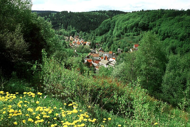 Blick auf Fehrenbach