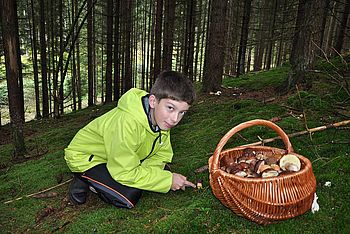 Pilze sammeln im Thüringer Wald