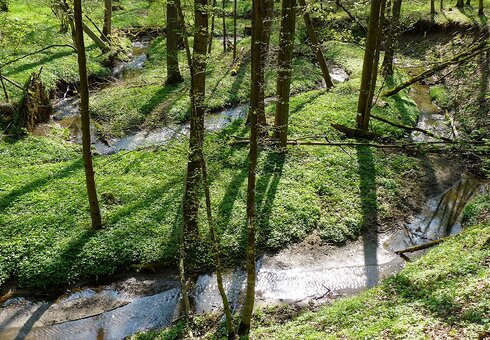 Sulzbach zwischen Bedheim und Roth