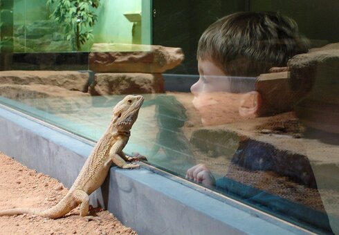 Exotarium Oberhof