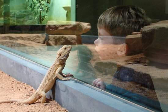 Exotarium Oberhof