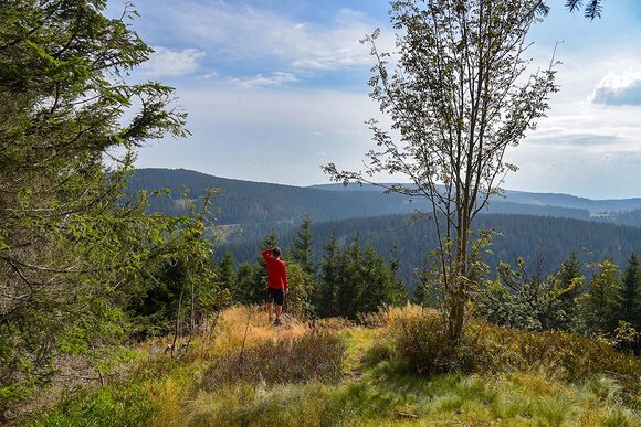 Landschaft im Thüringer Wald