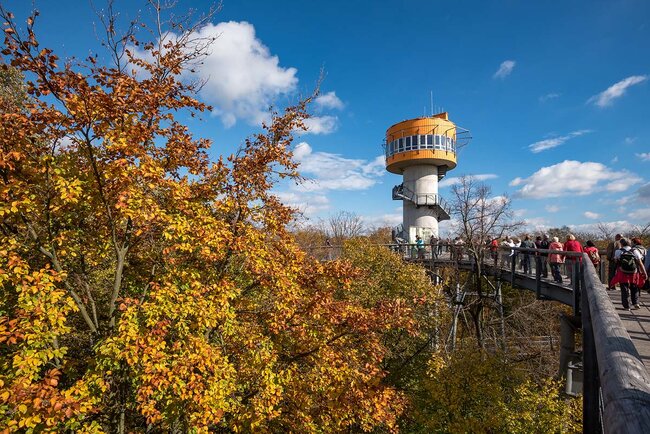 Der Baumkronenpfad im Nationalpark Hainich