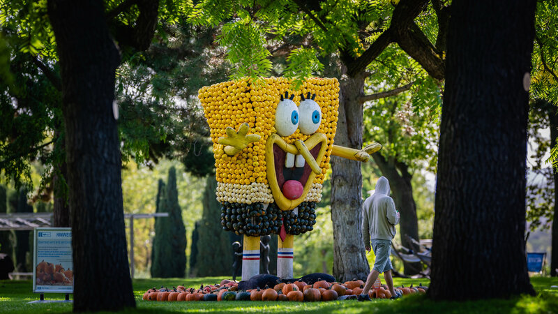 Kürbisausstellung im egapark (Foto: SWE/egapark – Fotograf Jacob Schröter)
