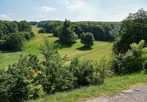 Blick in den Schlosspark Ettersburg