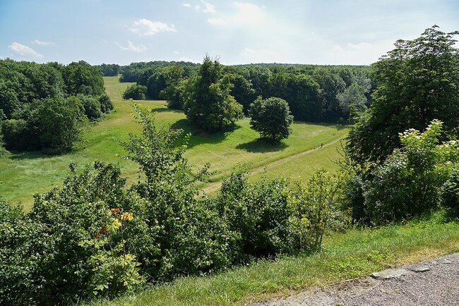 Blick in den Schlosspark Ettersburg