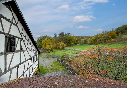Ausblick vom Ferienhaus