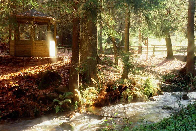 Herbst im Lauchagrund Herbst im Lauchagrund