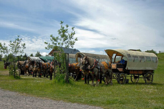 Reit- und Kutschtouristik Ortlepp