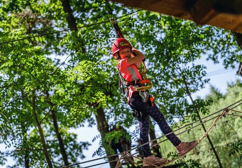 Kletterwald Koala