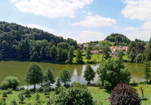 Blick in die Natur