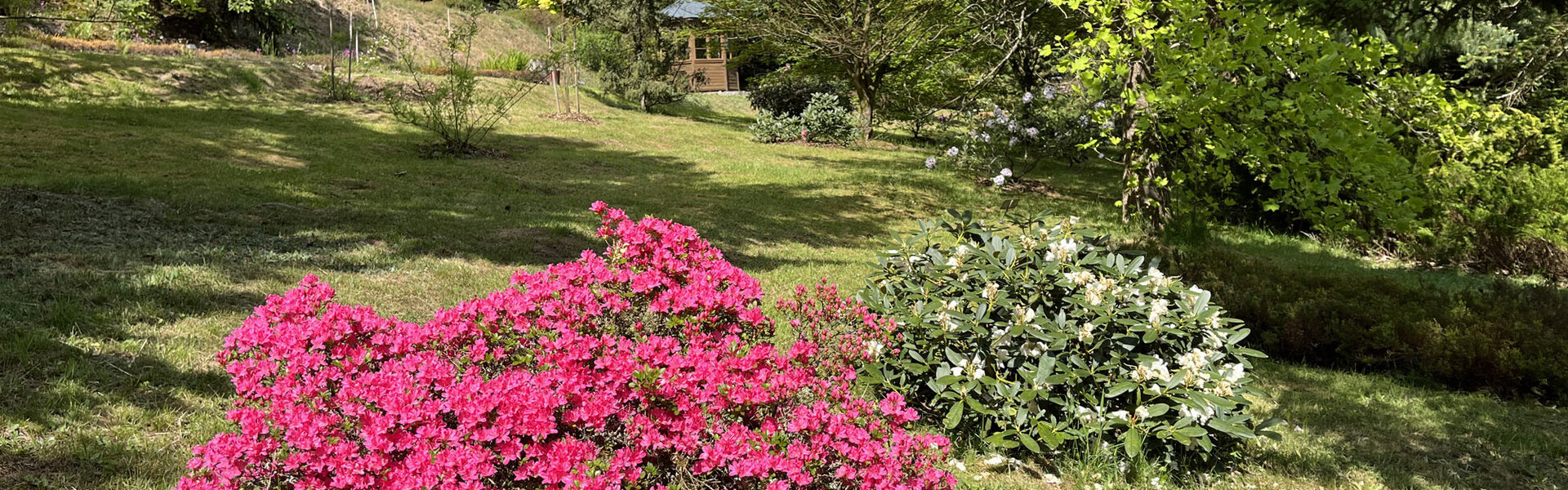 Forstbotanischer Garten