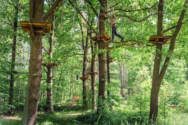 Kletterwald Koala