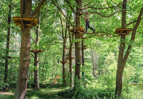 Kletterwald Koala