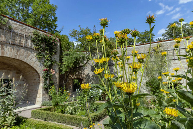 Deutsches Gartenbaumuseum © Foto: PPBraun