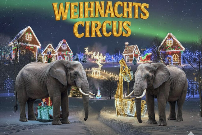 Lichterwelten & Weihnachtscircus