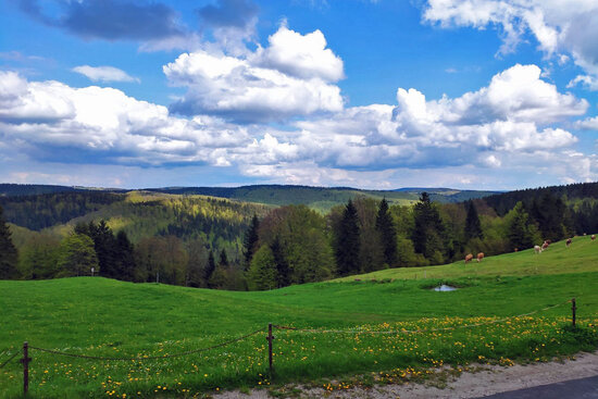 Ferienwohnung "Haus Silberblick" ****