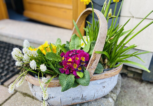 Fewo Gartenblick *****