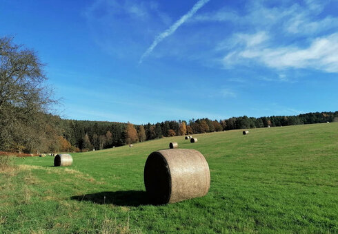 Impression aus der Umgebung