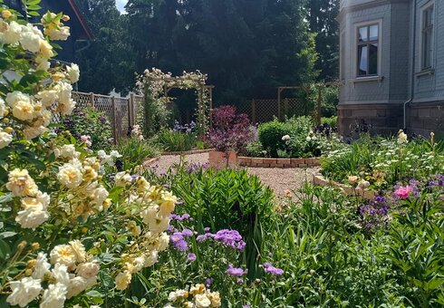 Blumenpracht im Garten