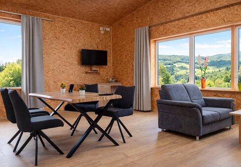 Wohnbereich mit Tisch und TV