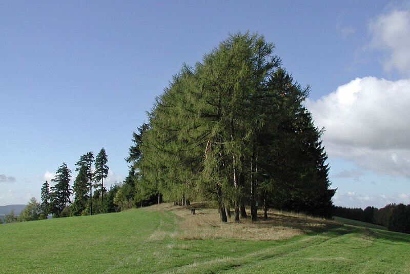 Mittlerer Ziegenrücksweg Mittlerer Ziegenrücksweg