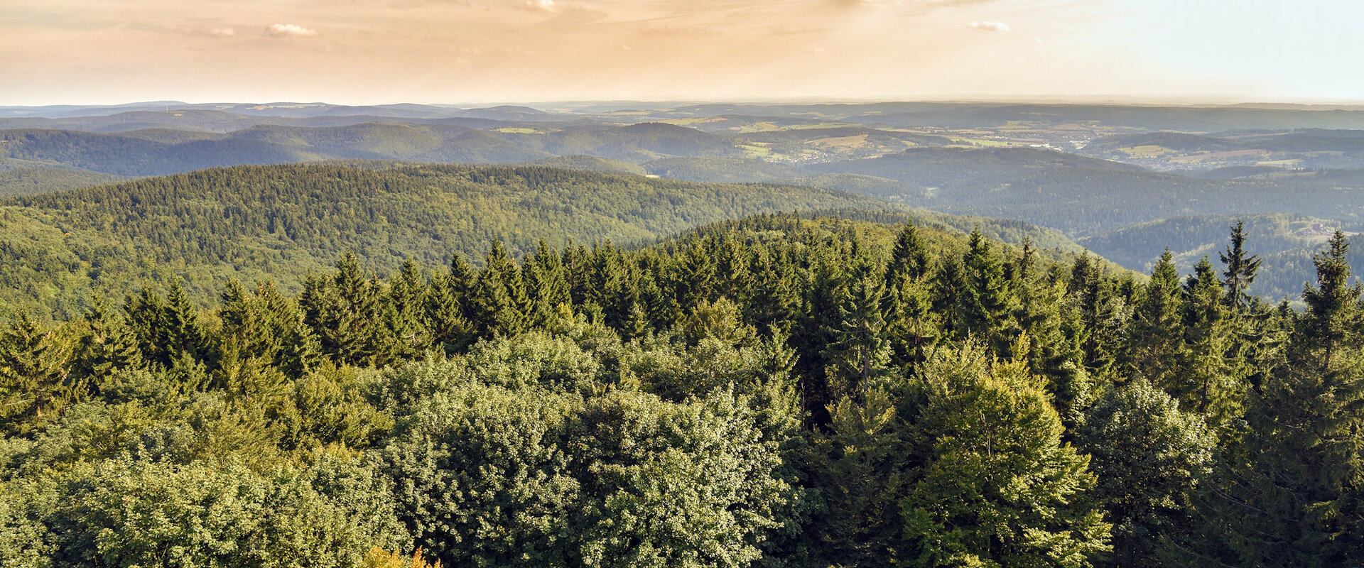 Th ringer Wald Ihr Urlaubs Und Reiseportal Th ringen info Th ringer Wald Ihr Urlaubs Und Reiseportal Th ringen info