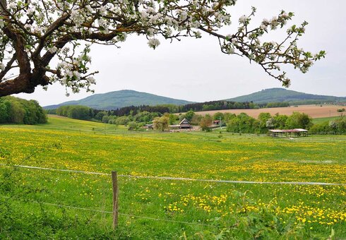 Gut Friedenthal mit Umgebung