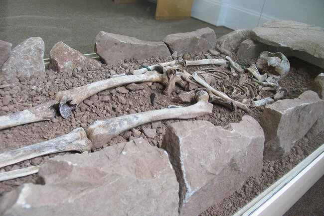 Blick in die Ausstellung