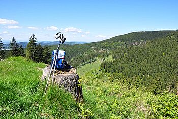 Wanderrucksack mit Nordic-Walking-Stöcken