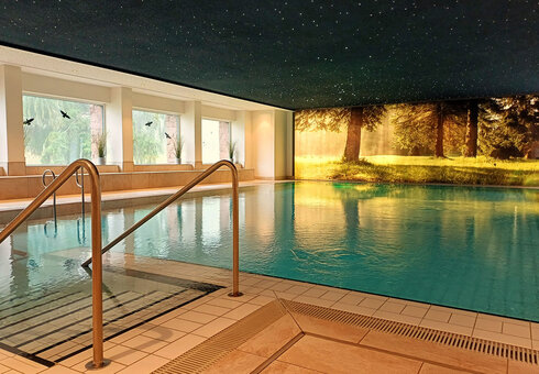 Wellnessbereich mit Pool