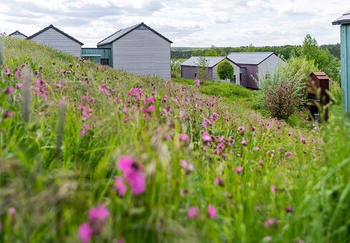 Bio Seehotel Chalets