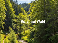 Kurz mal Wald