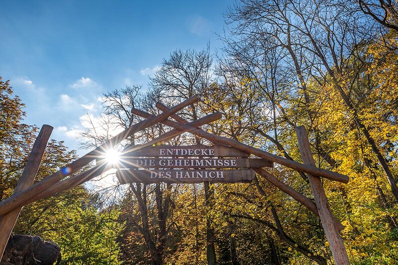 Nationalpark Hainich