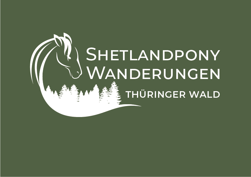 Shetlandpony-Wanderung Thüringer Wald
