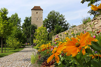 Arboretum in Bad Langensalza