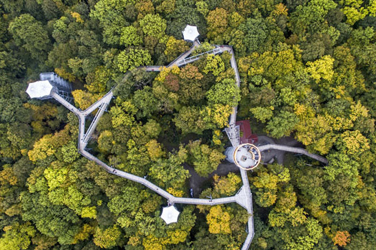Luftbild vom Baumkronenpfad