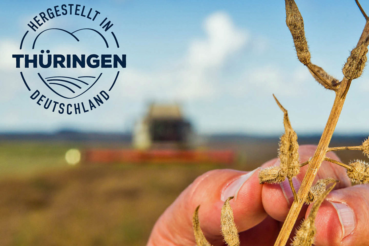 BORN Senf & Feinkost GmbH