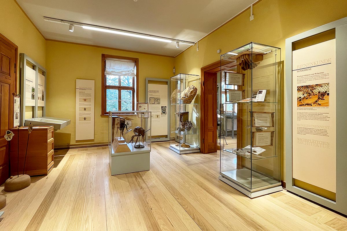 Deutsches Bienenmuseum