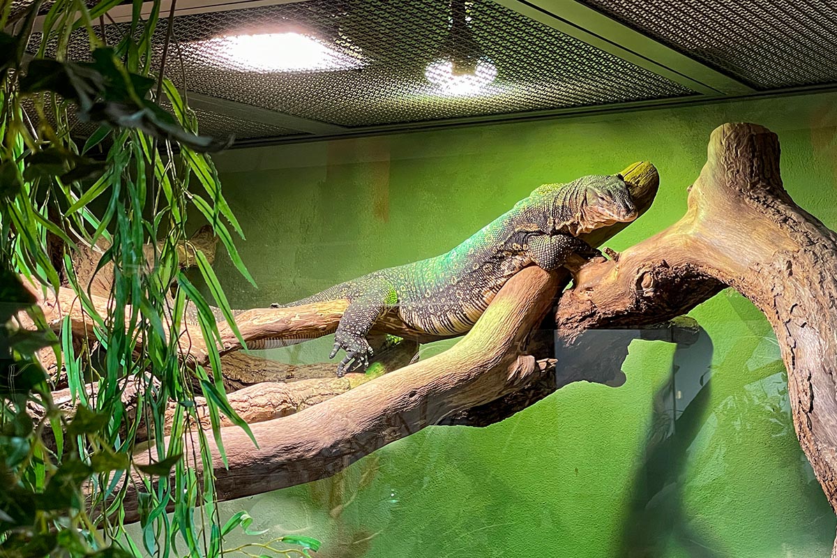 Exotarium Oberhof