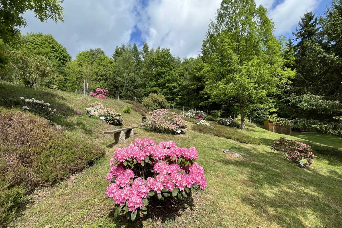 Forstbotanischer Garten