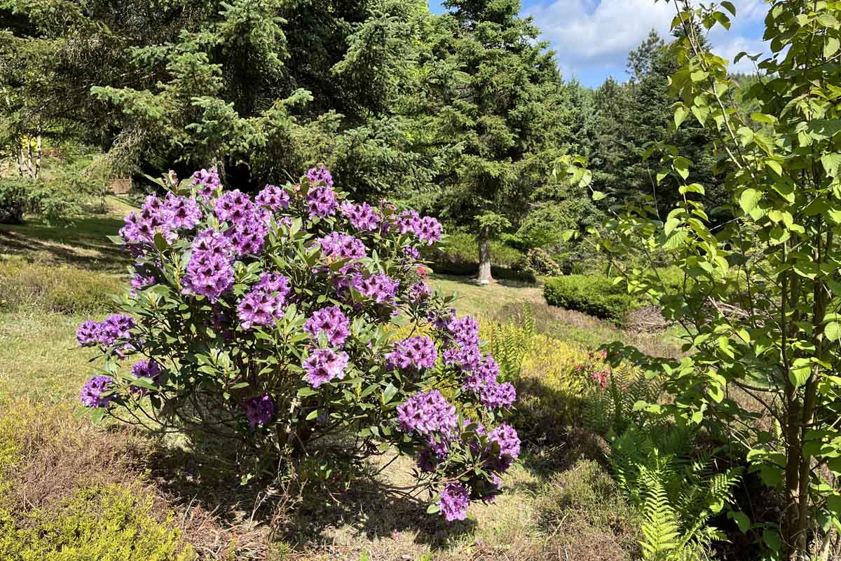 Forstbotanischer Garten