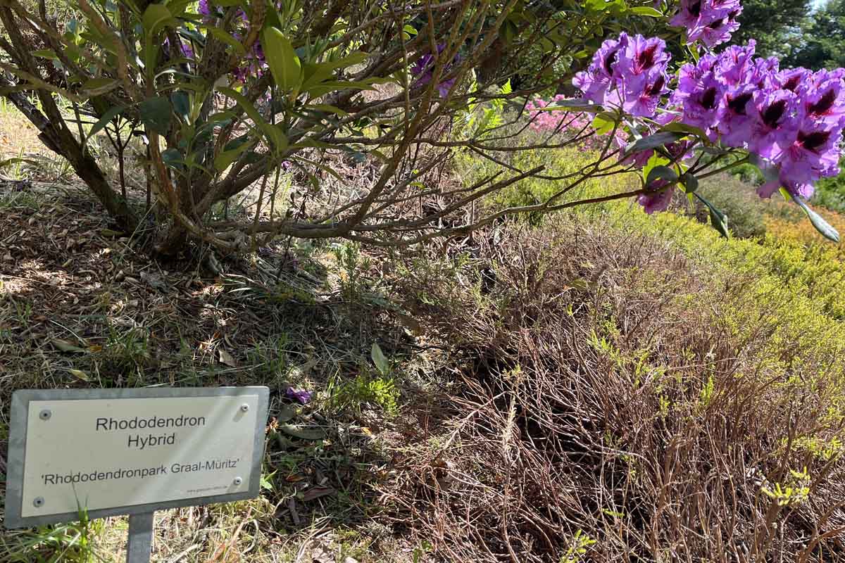 Forstbotanischer Garten