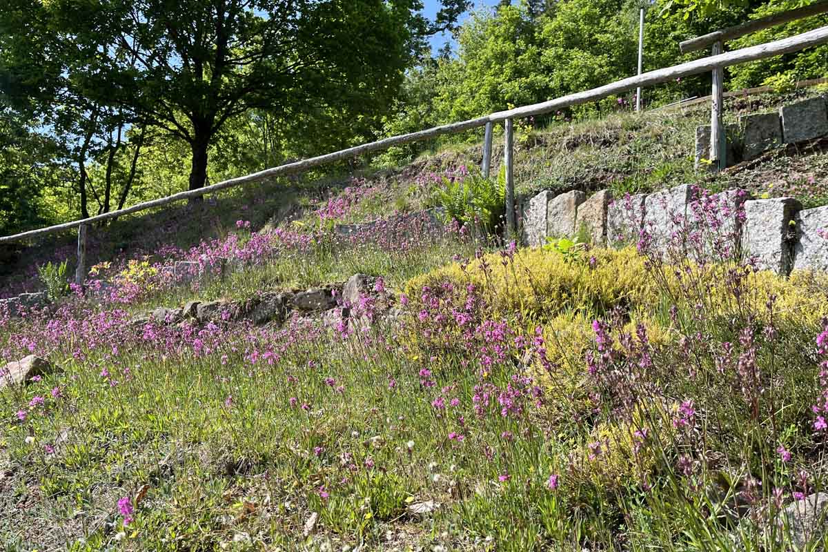 Forstbotanischer Garten