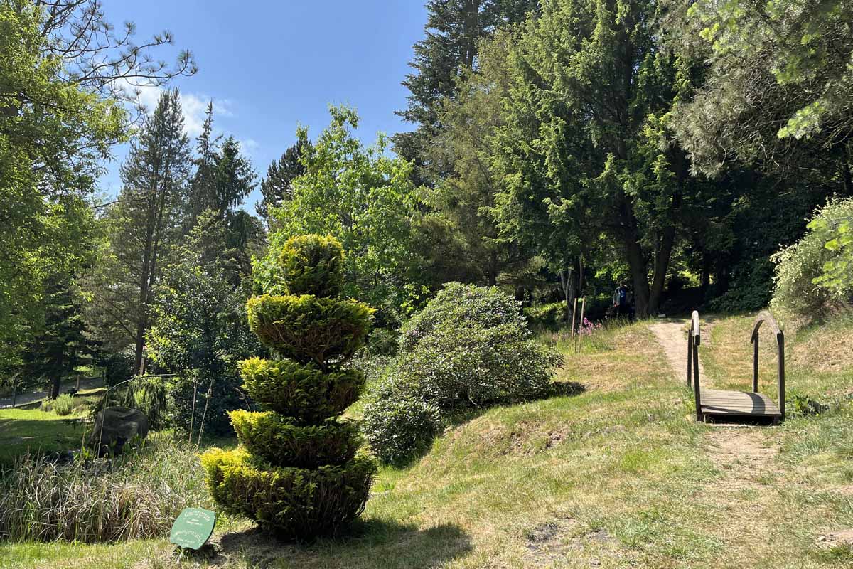 Forstbotanischer Garten