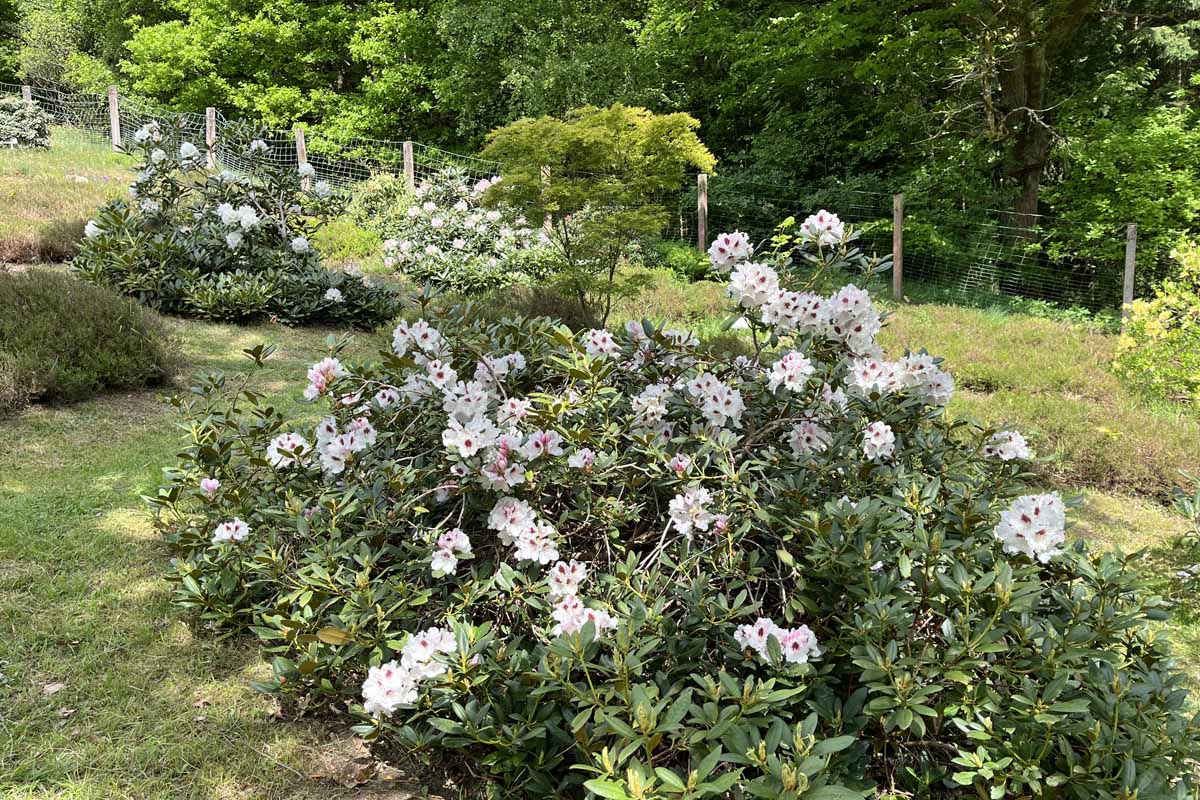 Forstbotanischer Garten