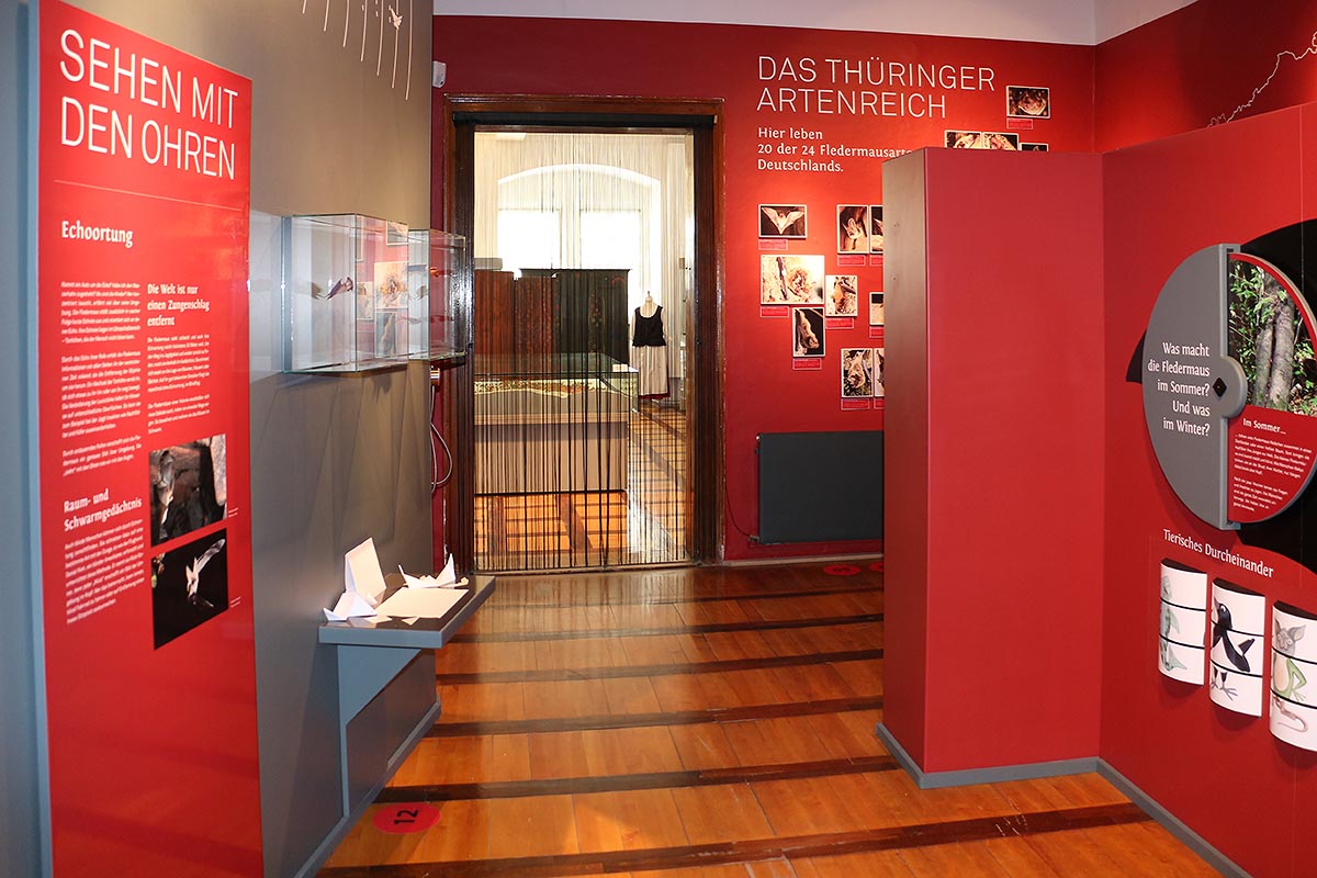 Regionalmuseum Bad Frankenhausen