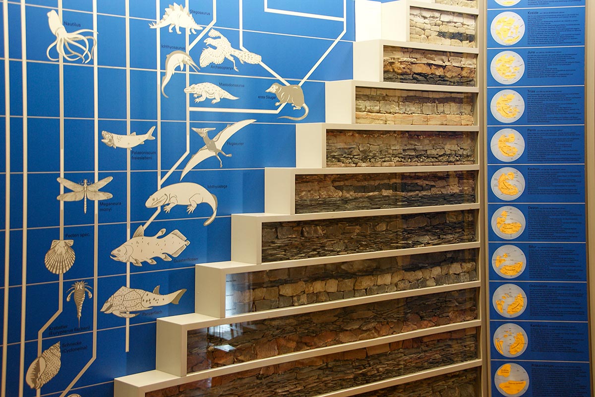 Regionalmuseum Bad Frankenhausen